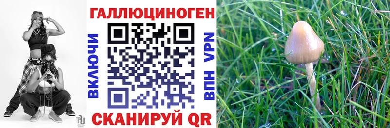 купить   blacksprut сайт  Псилоцибиновые грибы MAGIC MUSHROOMS  Верхняя Тура 